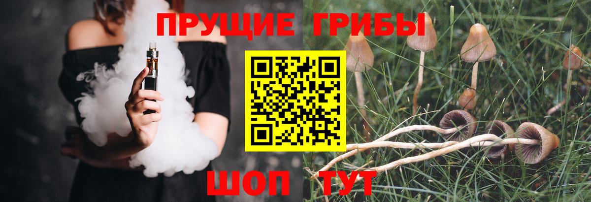 Аксай  Псилоцибиновые грибы ЛСД  Вход с VPN 