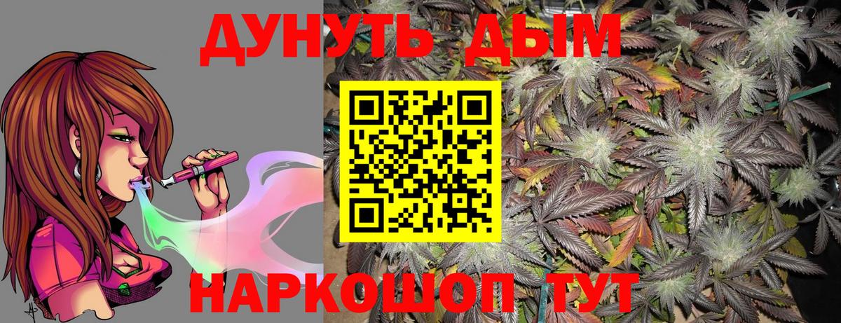Канабис сатива Аксай